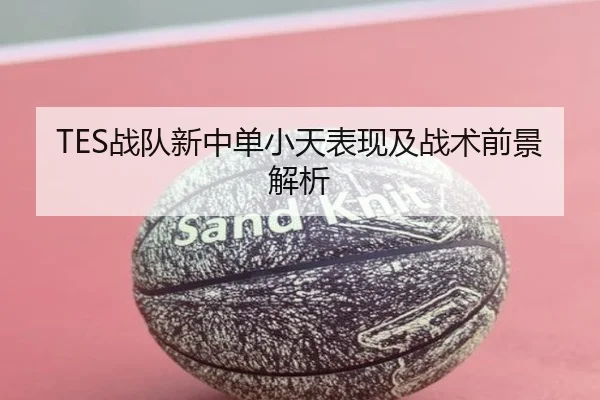 TES战队新中单小天表现及战术前景解析